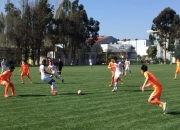 开云体育官方网站-战术大变革，球队备战迎战劲旅的简单介绍