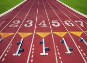 开云体育入口-绿茵与硬木的隔空交响，当波斯铁骑跨越巴斯克，巴西闪电照亮波士顿