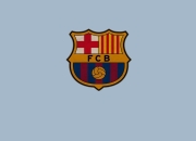 开云体育平台APP-冷门与担当，日本队轻取法国，奥恰洛夫扛起全队的启示