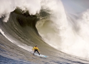 开云体育APP下载-戴维斯杯轻取法网，纳达尔高光表现背后的国家荣誉与个人传奇