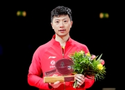 开云平台-瑞典乒乓球队血洗波兰乒乓球队，许昕惊艳世界的简单介绍