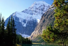 开云体育在线-关于克罗地亚绝杀波兰，马夏尔关键制胜的信息