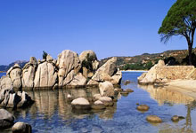 开云体育在线-关于克罗地亚绝杀波兰，马夏尔关键制胜的信息