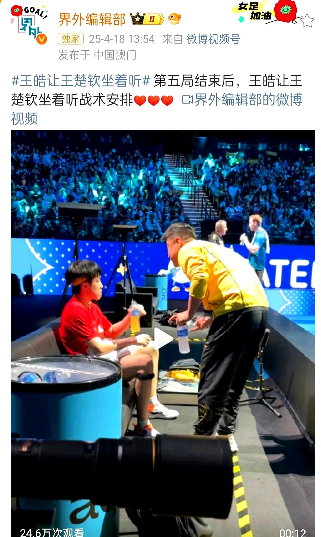 德国乒乓球队绝杀法国乒乓球队，王皓三分雨点燃全场的简单介绍