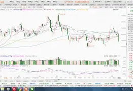 Misfits碾压BRO，Bwipo关键制胜