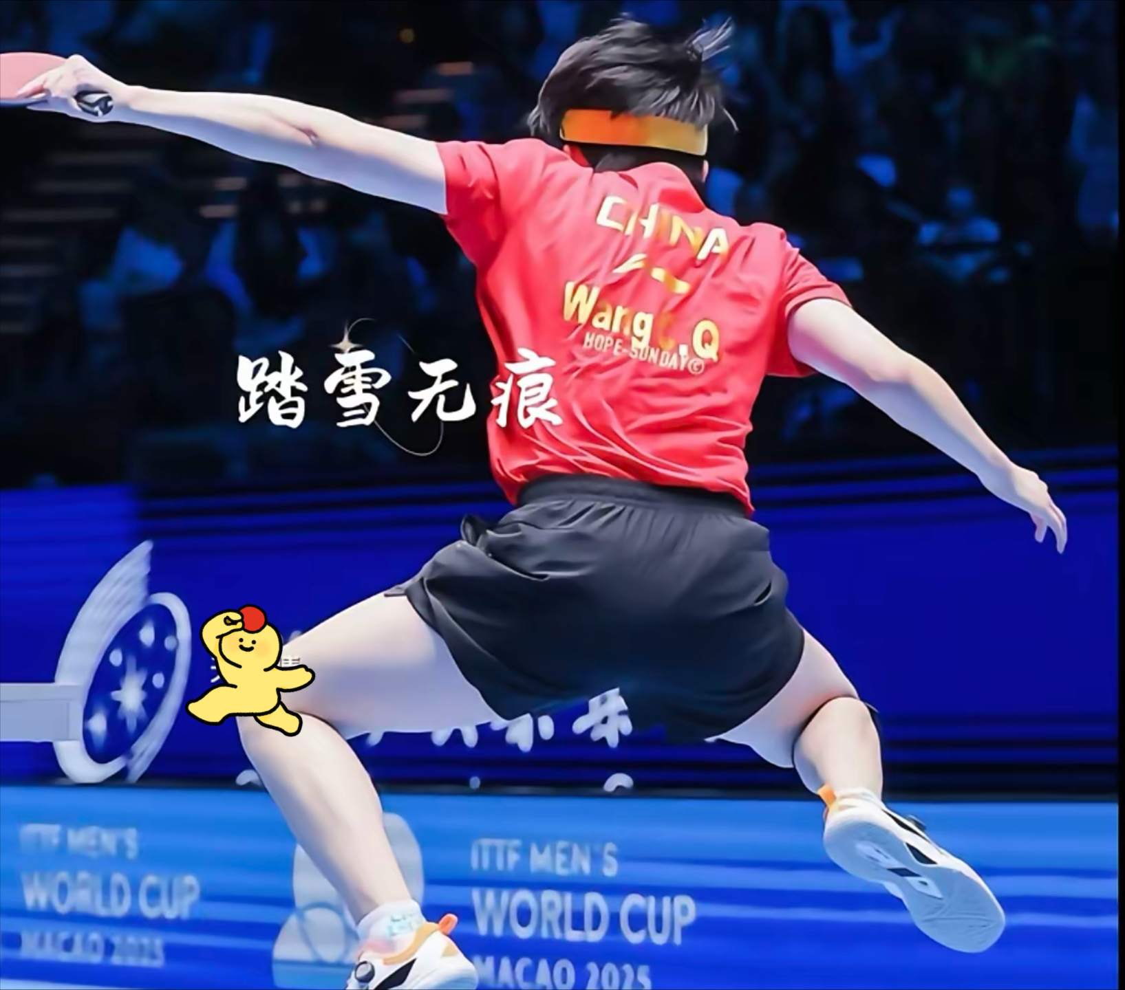 运动员的拼搏精神感动了观众的简单介绍