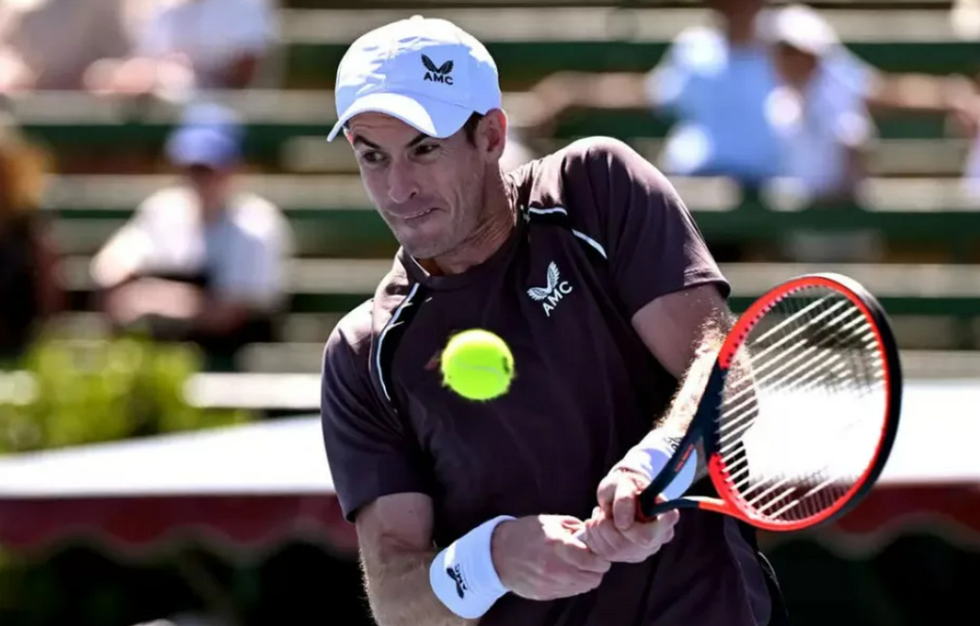 法网横扫ATP总决赛，穆雷状态火热的简单介绍